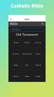 catholic prayers & bible iphone screenshot 3