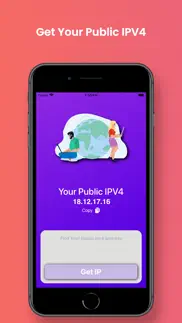 my public ip | ipv4 problems & solutions and troubleshooting guide - 1