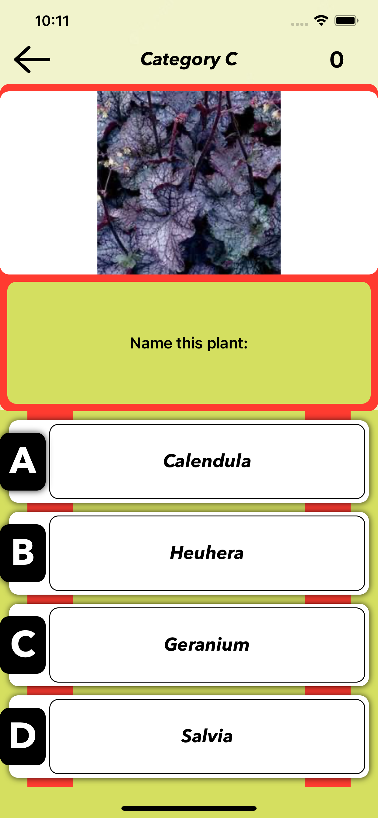 Food Quiz: Prueba de Comida