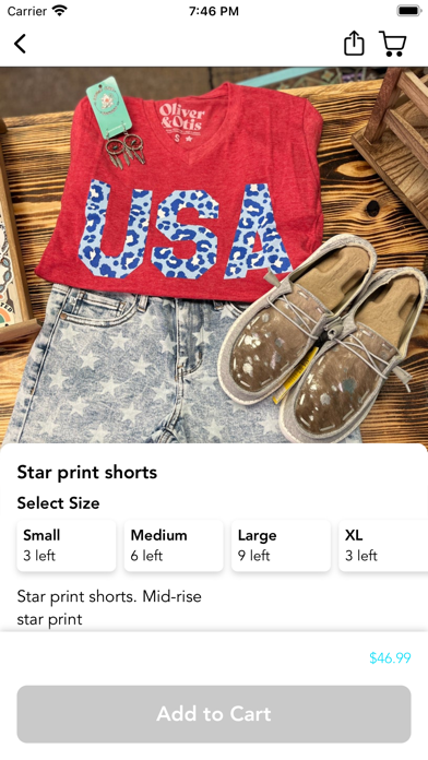 Aspen Chic Designs Screenshot