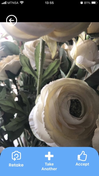 Happy Snappy Lite screenshot-5