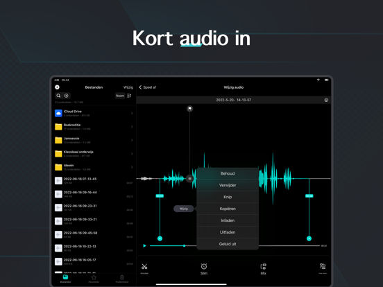 Dictafoon - Geluidsrecorder iPad app afbeelding 3