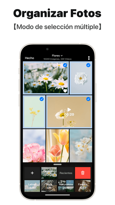 Picbook - Galería