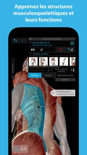 Capture d'écran de Muscles & Kinésiologie sur iPhone 1