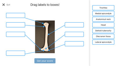 Anatomy Karma skeletal system Screenshot