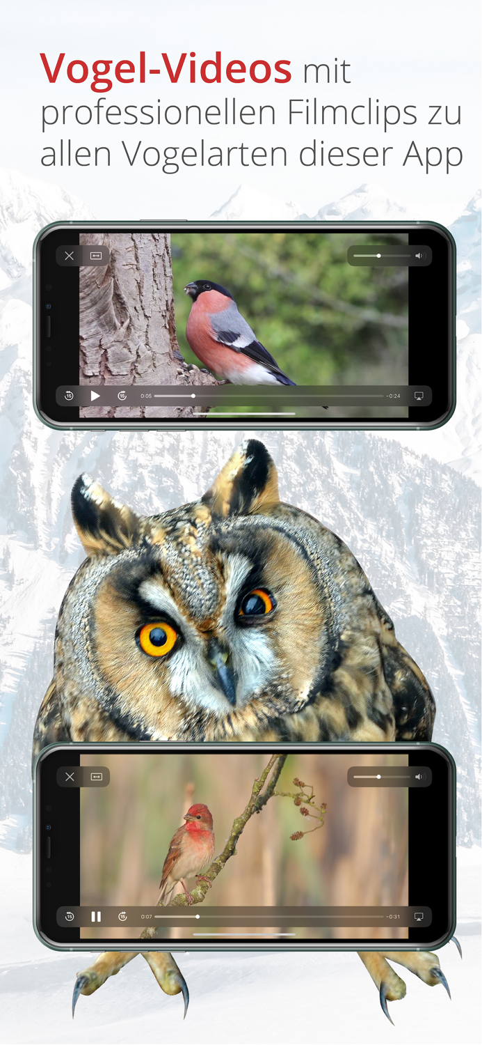 Vogelführer Birdlife Schweiz