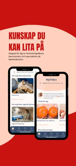 Game screenshot Numa - efter din förlossning hack