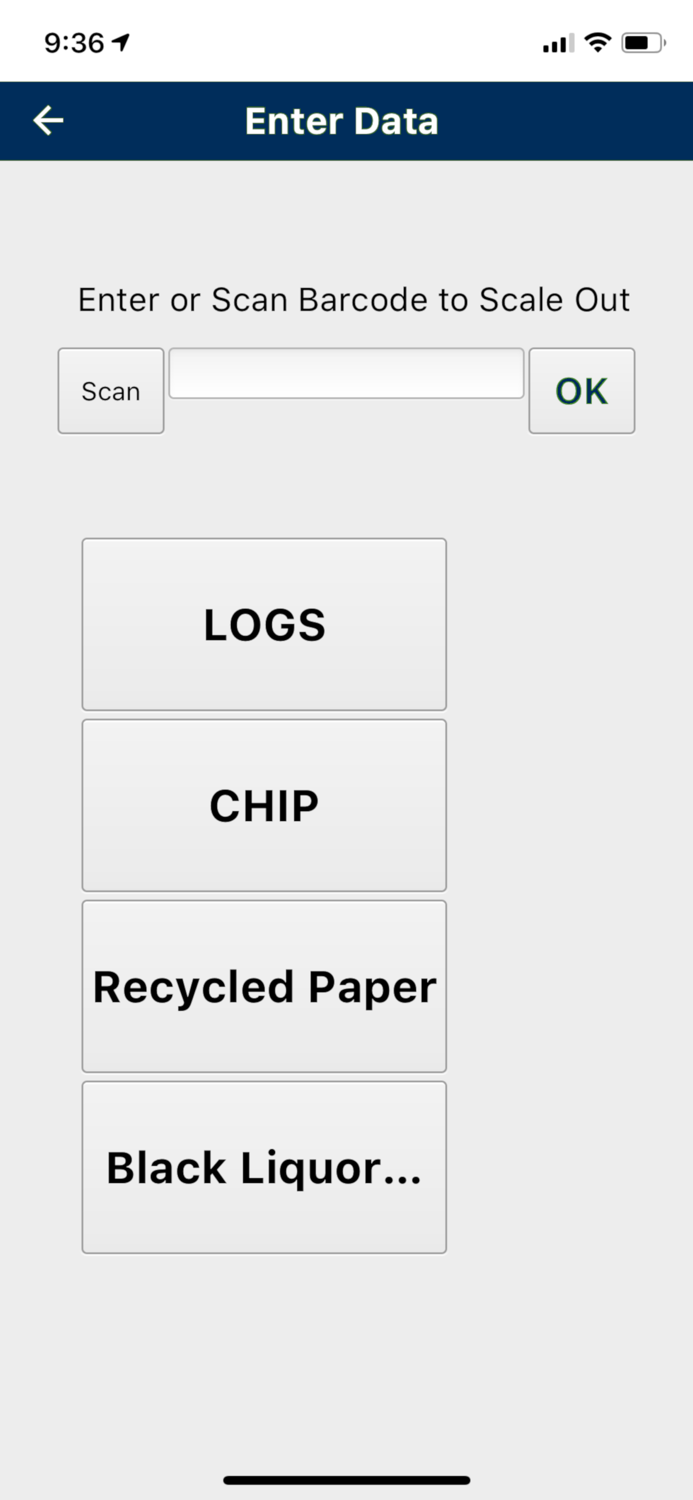 Connected Forest - Weighwiz