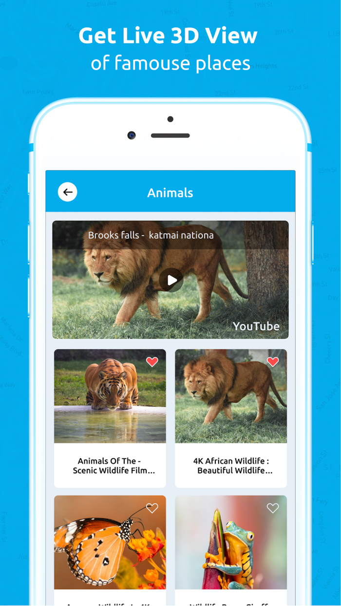 Live Earth Map - Live Camera