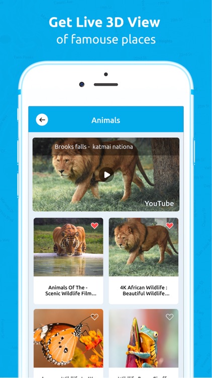 Live Earth Map - Live Camera