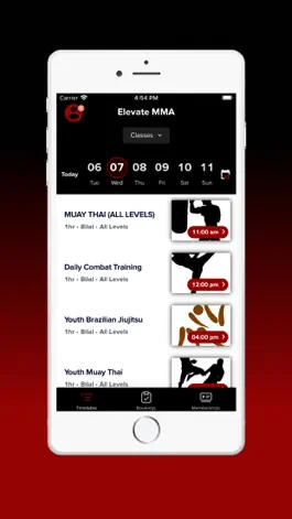 Game screenshot Elevate MMA hack
