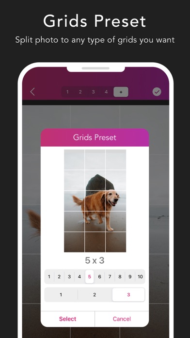 Screenshot #3 pour Griddy Pro: Split Pic in Grids