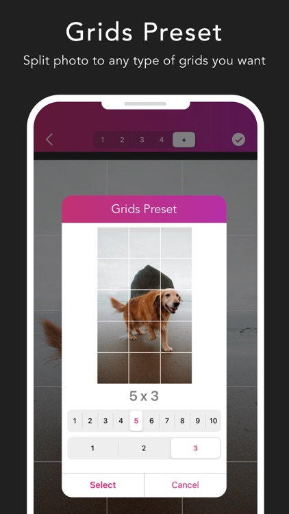 Griddy Pro: Split Pic in Grids