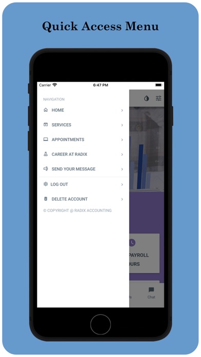 Radix Accounting Screenshot