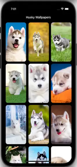 Game screenshot Husky Wallpapers HD apk