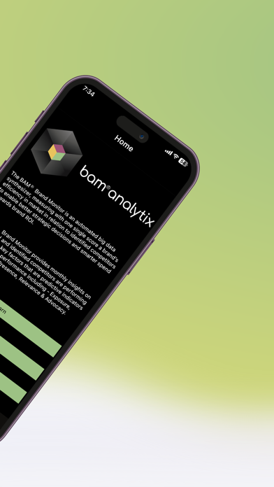 BAM Brand Monitor Screenshot