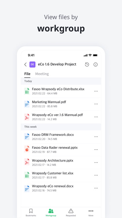 Wrapsody eCo Docs Online