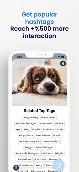 Game screenshot AI Photo Hashtag Generator Pro hack