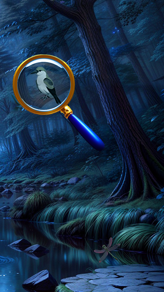 #7. Mystery Search 2:Hidden Object (iOS) โดย: Seerin