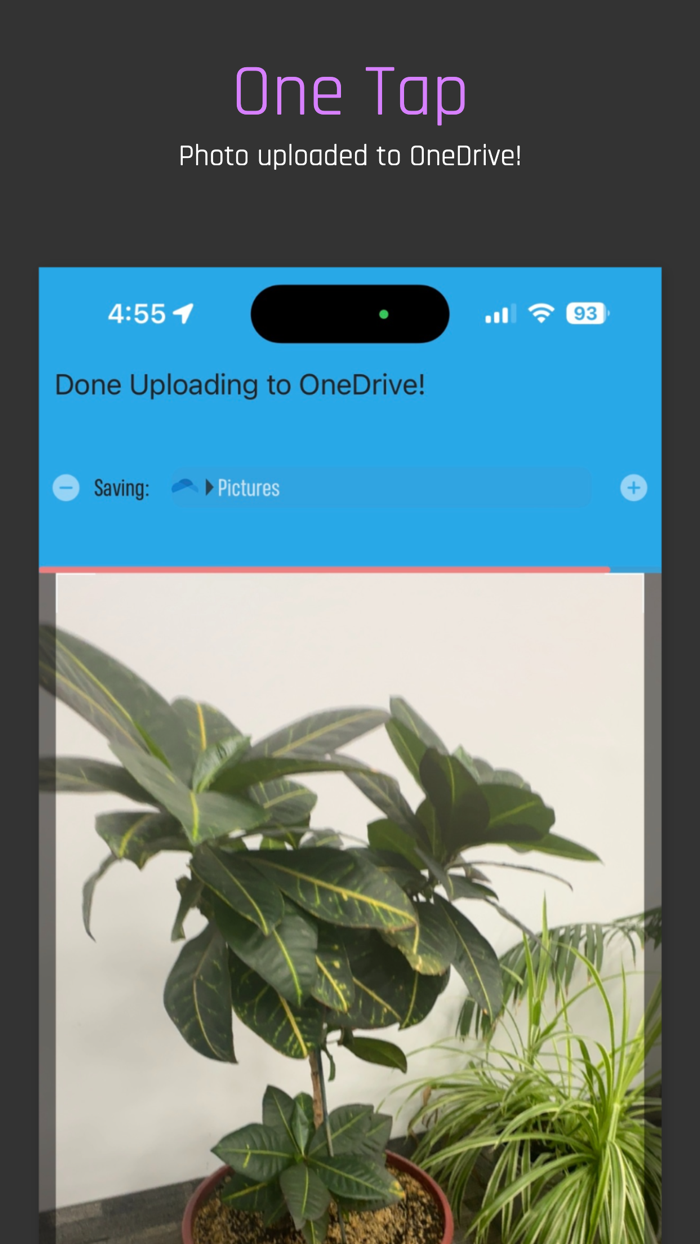 Camera Boss for OneDrive