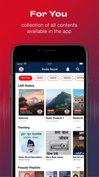 Radio Nepal. Screenshot