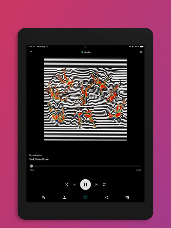 Darbu Music iPad screenshot 3 - Music app