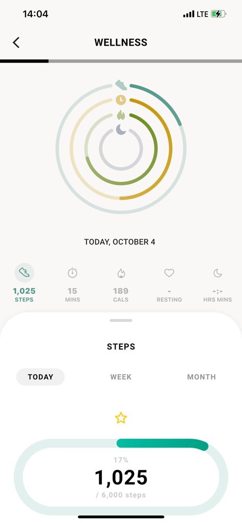 Michael Kors Access - このウェルネス画面では、ユーザーは「STEPS」トラッキングで詳細な歩数目標達成状況を確認でき、「TODAY」や「WEEK」などの期間別データ表示で進捗を追跡できます。