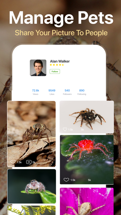 Spiders Identifier by Photo ID Screenshot