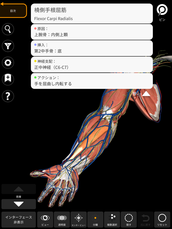 解剖学 - 3Dアトラスのおすすめ画像9