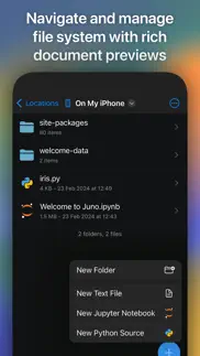 juno – python and jupyter iphone screenshot 4
