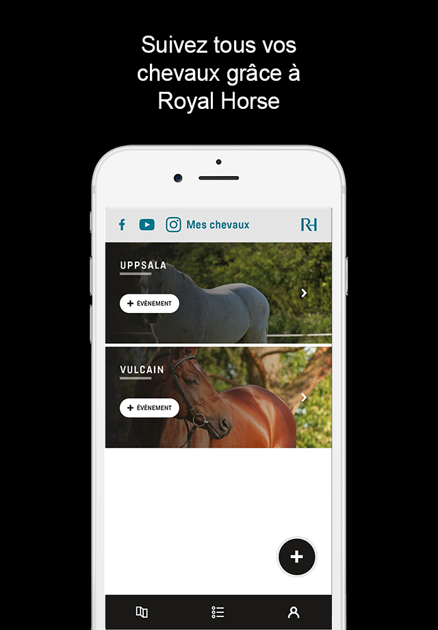 Royal Horse