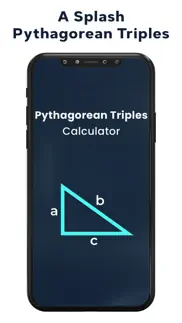 pythagorean triples calculator iphone screenshot 1