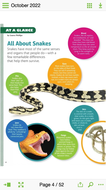 Faces Mag: Kids & Cultures