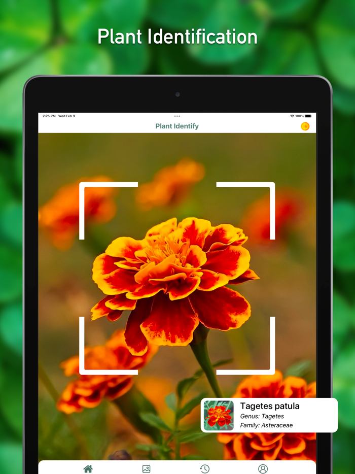 Fish Identifier ID Fish Verify