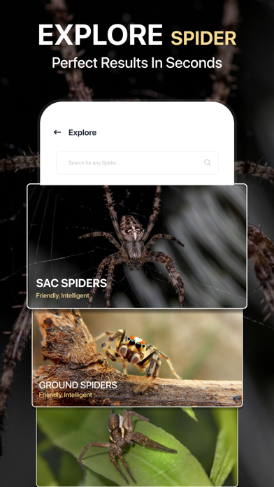 Spiders Identifier by Photo ID Screenshot