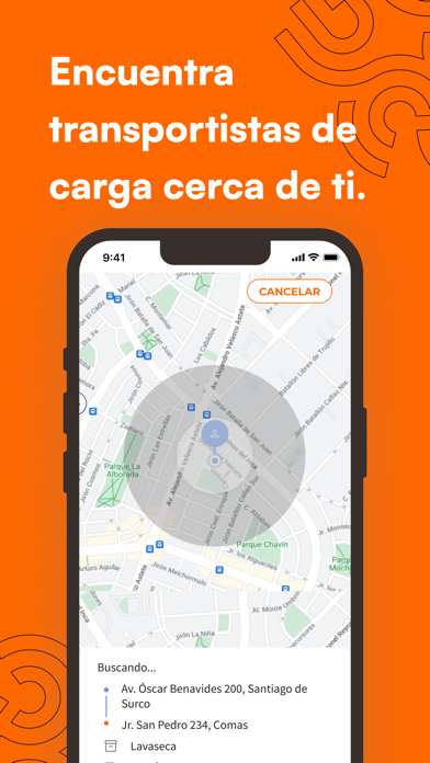 PegaCargo Screenshot