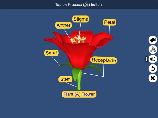Screenshot #5 pour Pollination in Plants