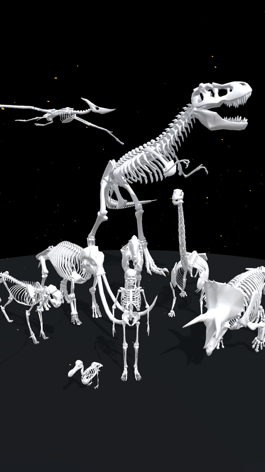 #2. Assemble Skeleton (iOS) 由: Artur Zhyvkovych