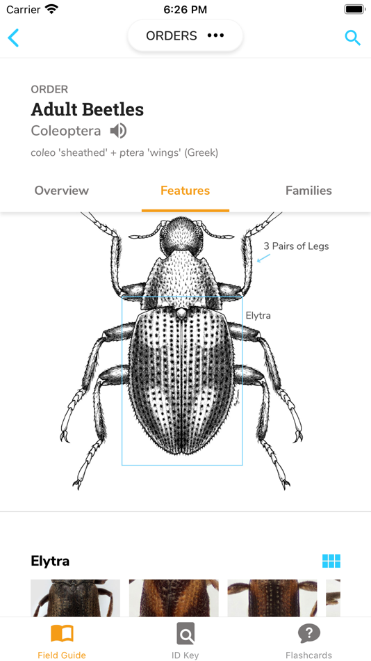 #3. PocketMacros (iOS) โดย: Marti Louw