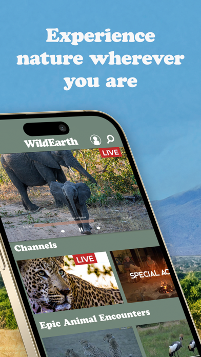 WildEarth TV - Nature Safari Screenshot