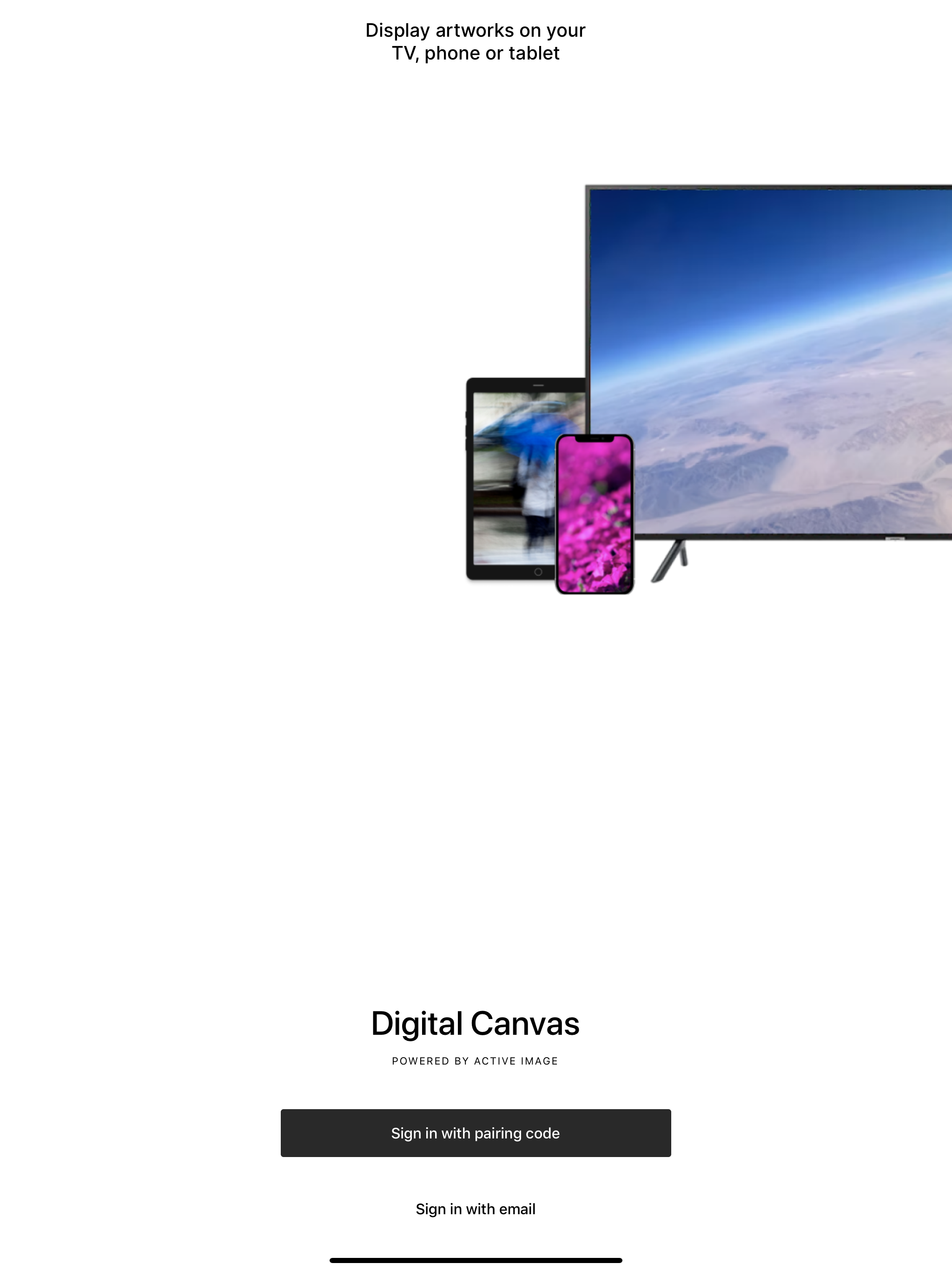 Digital Canvas by Active Image screenshot 9
