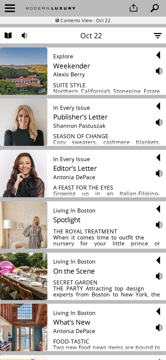 Modern Luxury Interiors Boston