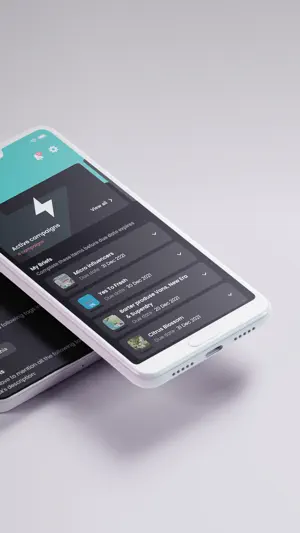 Amplifame screenshot 2