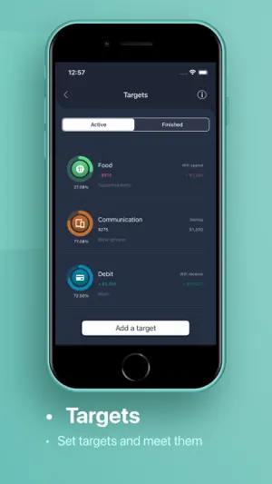 Budget. Offline control screenshot 2