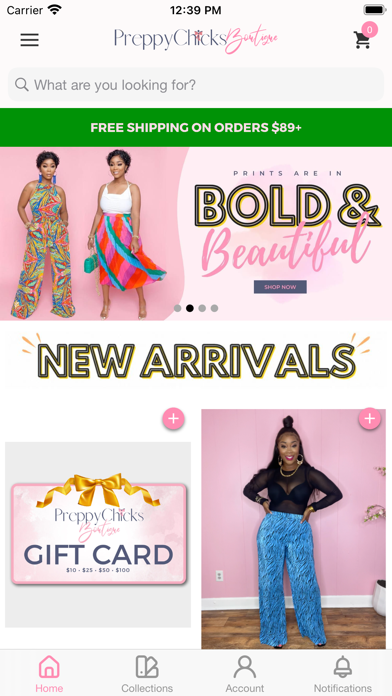 Preppy Chicks Boutique Screenshot