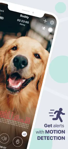 Game screenshot Buddy: Монитор для питомца apk