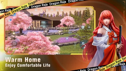 screenshot of Dragon Raja 4