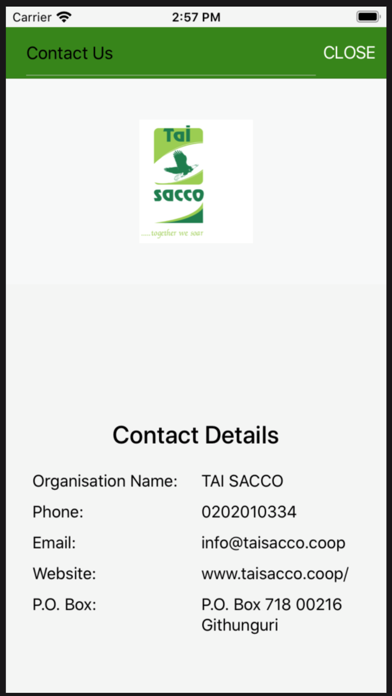 Tai Sacco Screenshot