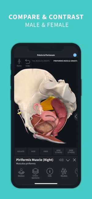 Complete Anatomy '22 on the App Store