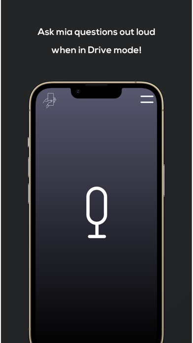 mia for Tesla Screenshot